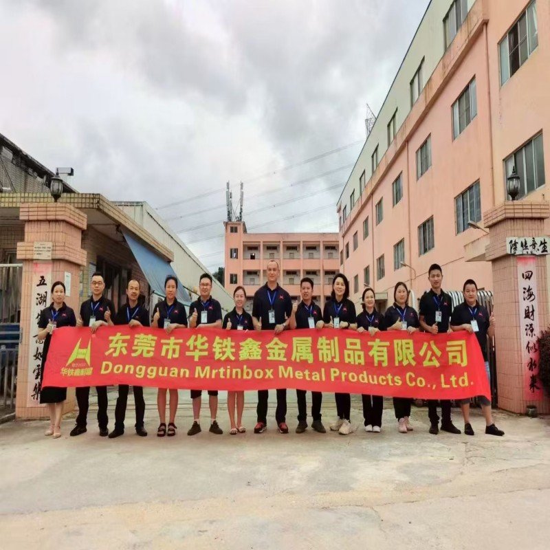 Company 2 Dongguan Hua Tiexin Metal Products Co